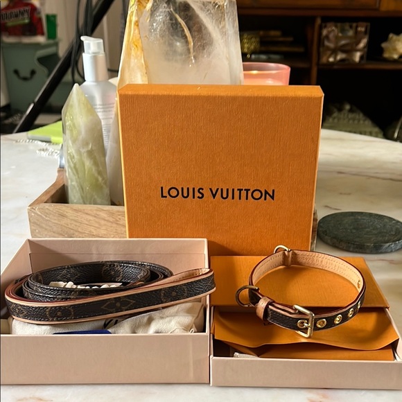 Louis Vuitton monogram dog collar and leash set - Picture 1 of 8